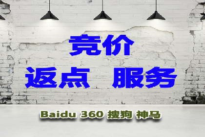 行业领先企业的SEM竞价推广策略揭秘